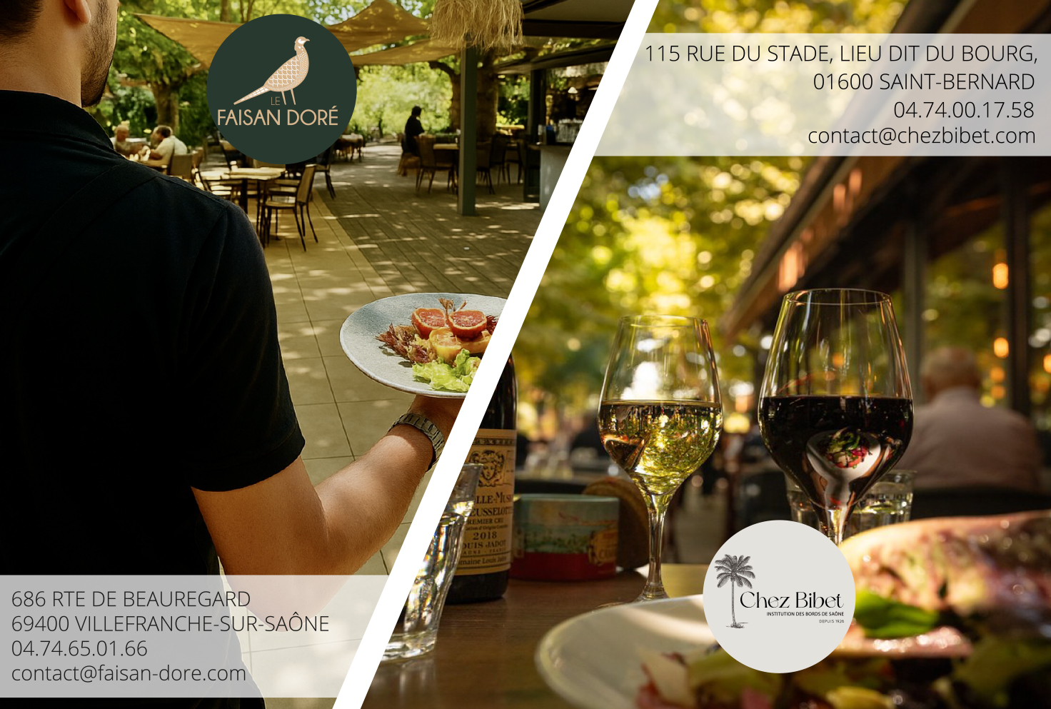 LE FAISAN DORE / CHEZ BIBET